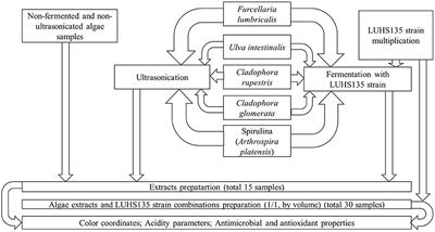 Effect of solid-state fermentation and ultrasonication processes on antimicrobial and antioxidant properties of algae extracts